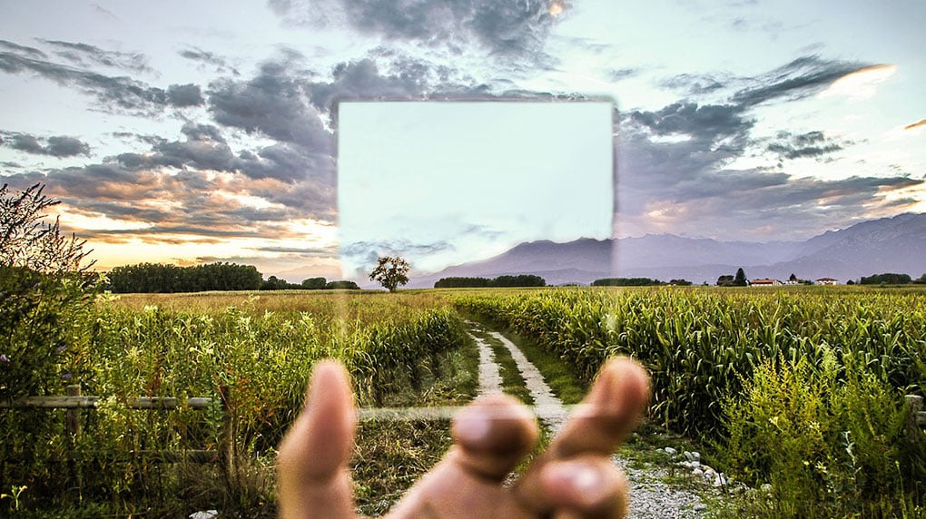 hand holding glass in a field