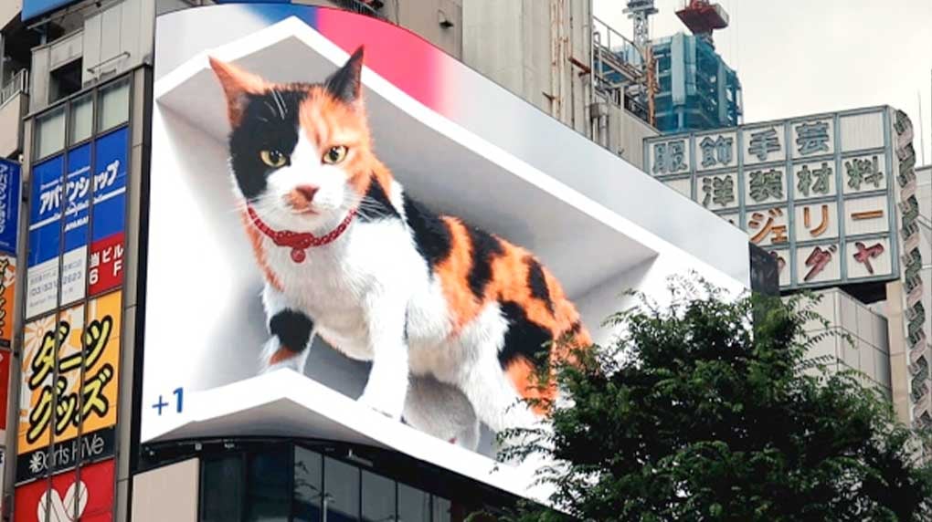 3d-digital-billboard-of-a-cat