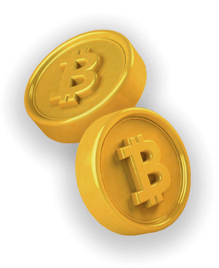 Bakkt Bitcoin icon