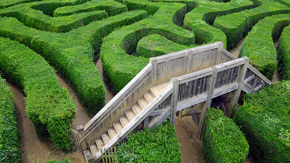 "a bridge that allows you to overlook a maze for clarity"