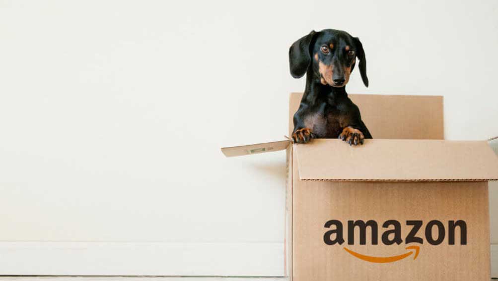 Don’t wait till it’s too late: Amazon’s influence on eCommerce